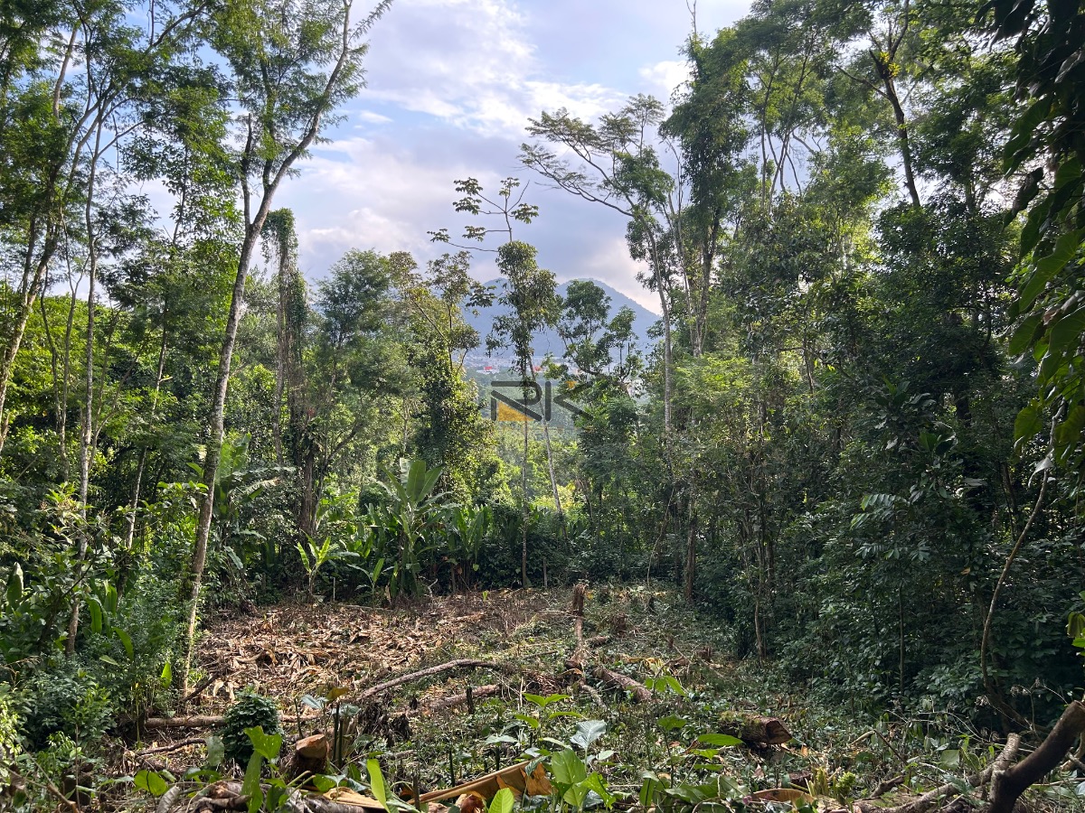Terreno à Venda No Morro da Anita em Ubatuba No Bairro do Itaguá